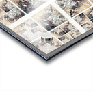 V326 Acrylic print