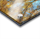 V328 Acrylic print