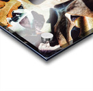 V335 Acrylic print