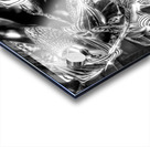 V340 Acrylic print
