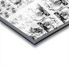 V348 Acrylic print