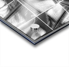 V355 Acrylic print