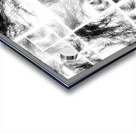 V360 Acrylic print