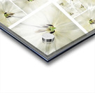 V362 Acrylic print