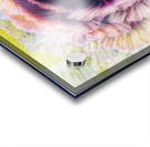 V364 Acrylic print
