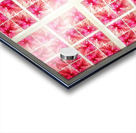 V367 Acrylic print