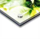 V370 Acrylic print