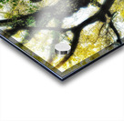 V371 Acrylic print