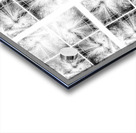 V374 Acrylic print