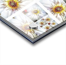 V376 Acrylic print