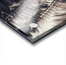 V379 Acrylic print