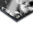 V380 Acrylic print