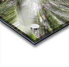 V386 Acrylic print