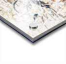 V390 Acrylic print