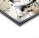V394 Acrylic print