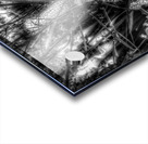 V397 Acrylic print