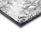 V409 Acrylic print