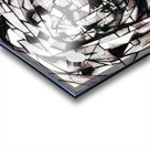 V412 Acrylic print
