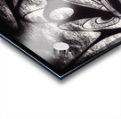V431 Acrylic print