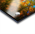 V445 Acrylic print