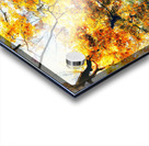 V455 Acrylic print