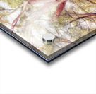V456 Acrylic print