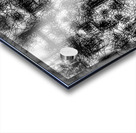 V457 Acrylic print