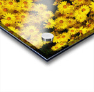 V460 Acrylic print