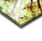 V463 Acrylic print