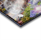 V466 Acrylic print