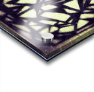 V468 Acrylic print