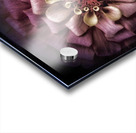 V480 Acrylic print