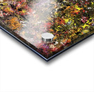 V498 Acrylic print