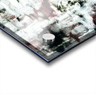 V540 Acrylic print