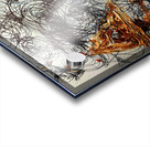 V543 Acrylic print