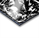 V553 Acrylic print