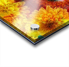 V609 Acrylic print