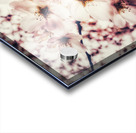V621 Acrylic print