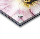 V628 Acrylic print