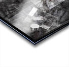V647 Acrylic print