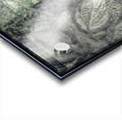 V650 Acrylic print