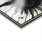 V666 Acrylic print