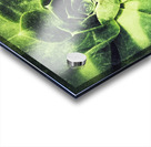V692 Acrylic print