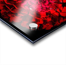 V700 Acrylic print