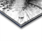 V714 Acrylic print
