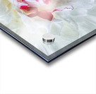 V720 Acrylic print