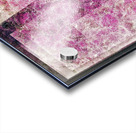 V740 Acrylic print
