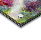 V750 Acrylic print