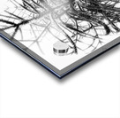 V863 Acrylic print