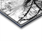 V879 Acrylic print